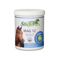 Stiefel Mag 12 Pellet, Magnesium mit Vitamin B12 + E1, 1...