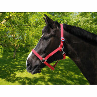 Kerbl Nylonhalfter Classic rot, Pony