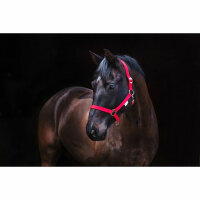 Kerbl Nylonhalfter Classic rot, Pony