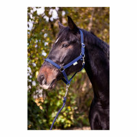 Kerbl Nylonhalfter Classic rot, Pony