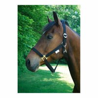 Kerbl Nylonhalfter Classic schwarz, Pony