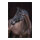 Kerbl Nylonhalfter Classic schwarz, Foal