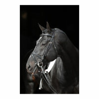 Kerbl Trensenzaum Standard Leder, schwarz, Pony