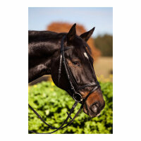 Kerbl Trensenzaum Standard Leder, schwarz, Pony