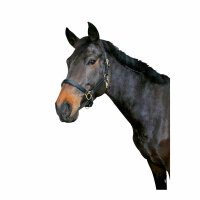 Kerbl Halfter Eco, Leder schwarz, Pony