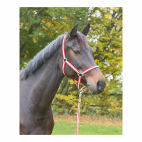 Kerbl Nylonhalfter Hippo, Foal marine/hellblau