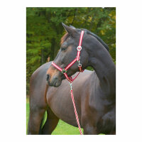 Kerbl Nylonhalfter Hippo, Foal marine/hellblau