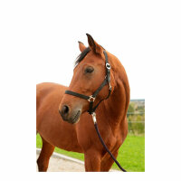 Kerbl Nylonhalfter Hippo, Foal marine/hellblau