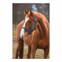 Kerbl Nylonhalfter Hippo, Foal marine/hellblau