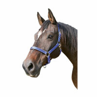 Kerbl Halfter Mustang, Pony 2fach verstellbar, blau/schw.