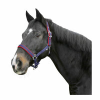 Kerbl Halfter Dexter mit Fleece- unterlage, schwarz, Shetty