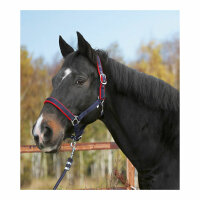 Kerbl Halfter Dexter mit Fleece- unterlage, schwarz, Shetty