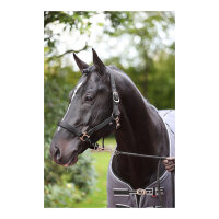 Kerbl Halfter Dexter mit Fleece- unterlage, schwarz, Pony