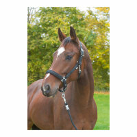 Kerbl Halfter Dexter mit Fleeceunterlage, blau, Foal