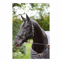 Kerbl Halfter Dexter mit Fleece- unterlage, schwarz, Foal