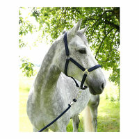 Kerbl Pferdehalfter Liam light grey, Pony