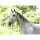 Kerbl Pferdehalfter Liam light grey, Pony