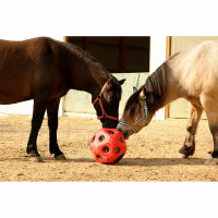 Kerbl HeuBoy lila für Pony Futterspielball