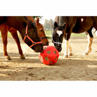 Kerbl HeuBoy lila für Pony Futterspielball