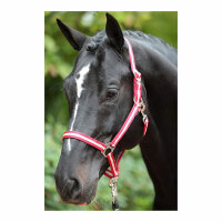 Kerbl Nylonhalfter Hippo, Pony schwarz