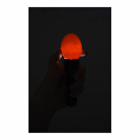 Kerbl LED-Schierlampe inkl. Batterie und zwei Aufsätzen