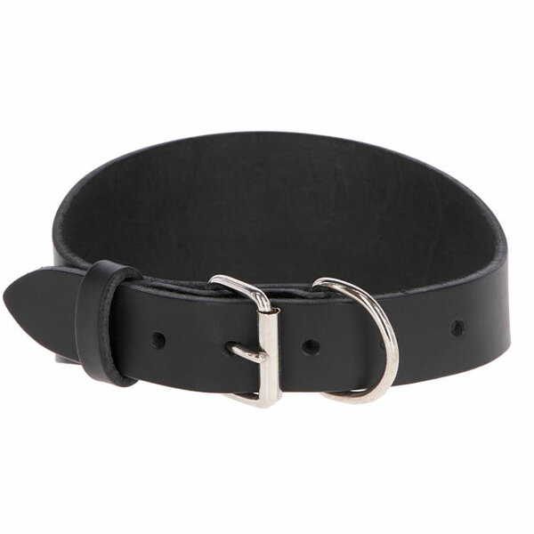 Kerbl MEXICA Halsband schwarz für Windhunde, 27-35cm x 1,5cm