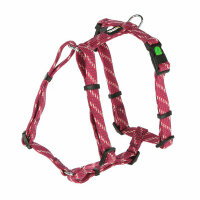 Kerbl Geschirr Colorado, fuchsia, 20 mm / 55-76 cm