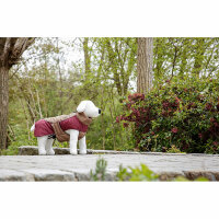 Kerbl Hundemantel Royal Pets, braun, 50cm