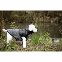 Kerbl Hundemantel Quebec,   grau/schwarz, L 45 cm