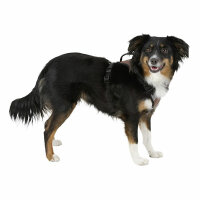 Kerbl Hundegeschirr Pulsive, schwarz, 36-50 cm, 46-60cm