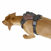 Kerbl Hundegeschirr Pulsive, schwarz, 62-85cm, 72-96cm