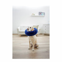 Kerbl Hundehalskrause, aufblasbar, blau, Halsumfang 25-35cm