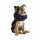 Kerbl Hundehalskrause, aufblasbar, blau, Halsumfang 25-35cm