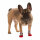 Kerbl Hundesocken Bruno L, grau/rot