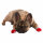 Kerbl Hundesocken Bruno L, grau/rot