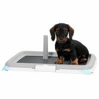 Kerbl Welpentoilette Puppy Training Set 60x40x4cm