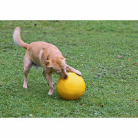 Kerbl Hundespielball Ø 30 cm, gelb, aus Kunststoff