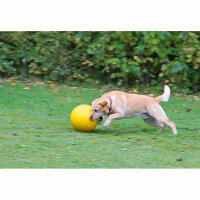 Kerbl Hundespielball Ø 30 cm, gelb, aus Kunststoff