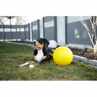 Kerbl Hundespielball Ø 30 cm, gelb, aus Kunststoff