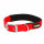 Kerbl MIAMI PLUS Nylonhalsband mit Softeinlage, rot, 33-39cm/20mm