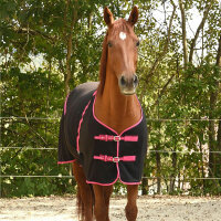 Kerbl RugBe Classic Fleece Transport- und Abschwitzdecke,...